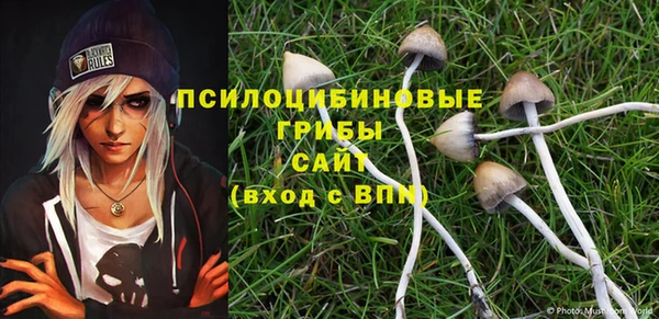 прущий лед Аркадак
