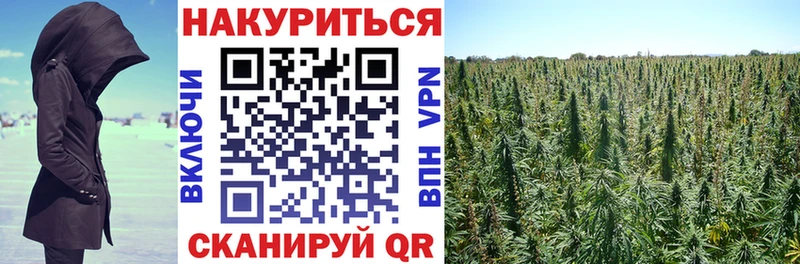 дарнет шоп сайты даркнета Telegram МАРИХУАНА Amnesia Карабаш